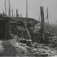 Bastion 1917