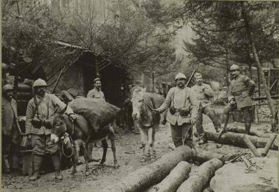 camp-ayne-cuisines-anes-de-ravitaillement-12-nov-1916-1.jpg