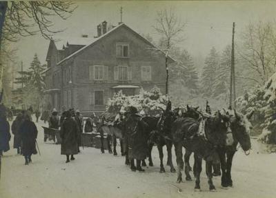 Chasse neige 22 fevrier 1916