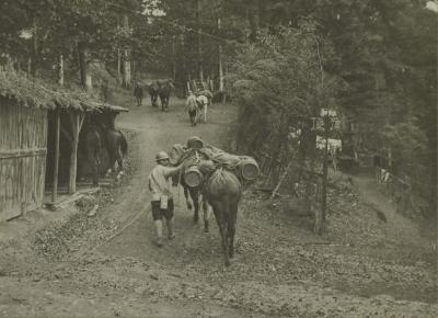 entree-camp-hoche-mulets-de-ravitaillement-15-octobre-1916-1.jpg