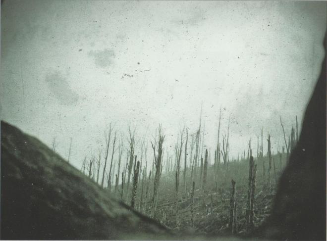 vue-hwk-septembre-1916.jpg