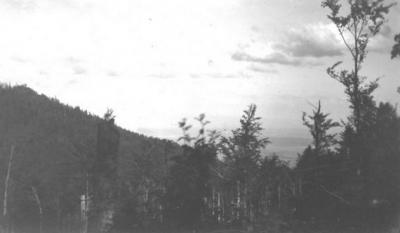 Vue plaine depuis wolfskopf 1918